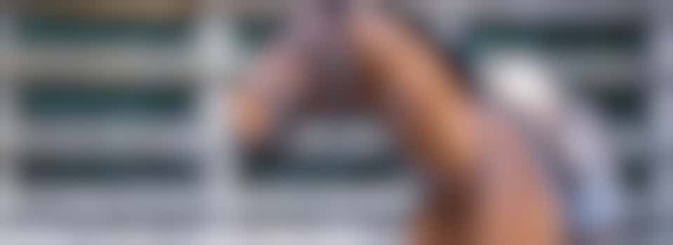 Begeleider paardrijden gehandicapten