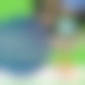 Webinar "besturen in minder uren"