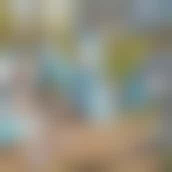 Vrijwilligersvergoeding