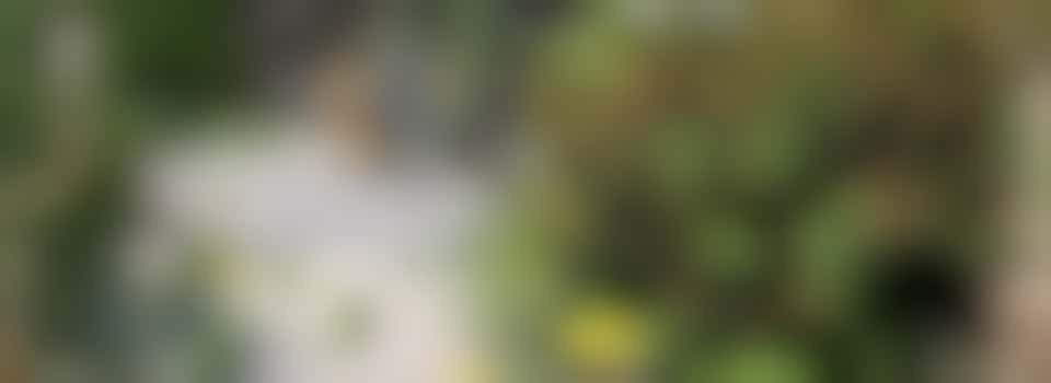 Gastheer/ gastvrouw vrijdagochtend