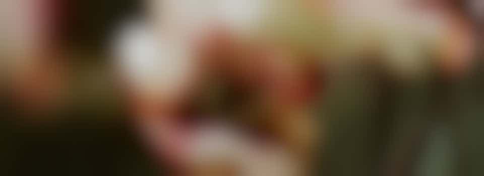 Vrijwilliger gezocht met groene vingers