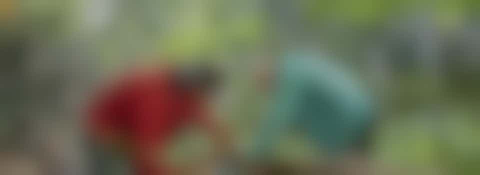 Gezellig tuinieren op het mooiste terrein in het Zeisterbos