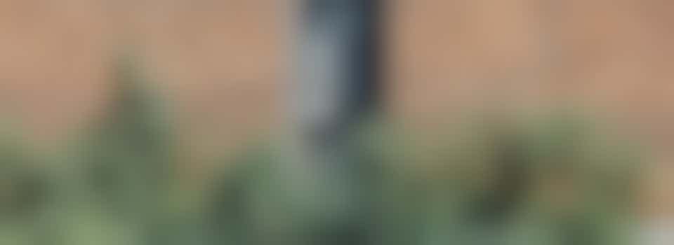 Tuin opknappen 77-jarige man Ondiep