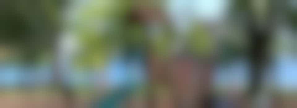 Spelenderwijs leren met 8-jarige jongen in Zuilen