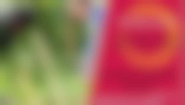 Samen in Utrecht Actiedag in Zuilen