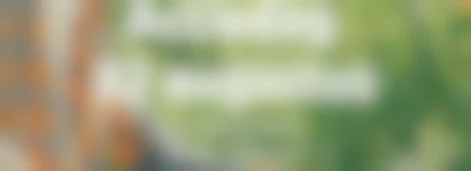 Samen in Utrecht Actiedag