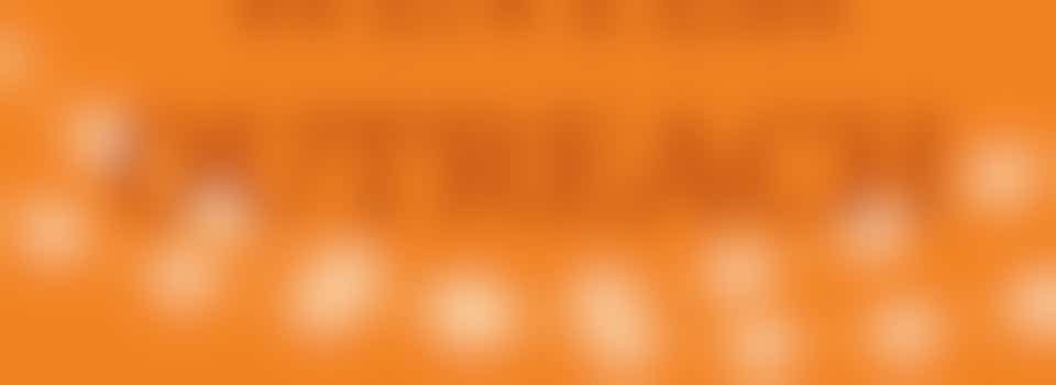 Kerststukjes maken bij de Drie Ringen