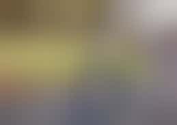 Berbers sprekende vrijwilliger gezocht voor vriendelijke dame in Leidsche Rijn