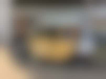 Chauffeur van de Gouden Koets