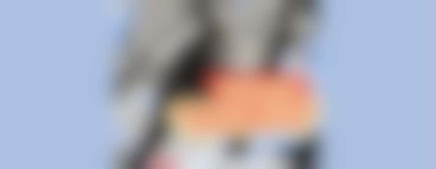 Zuilen Zoekt: schrijvers, storytellers & social helden uit de wijk