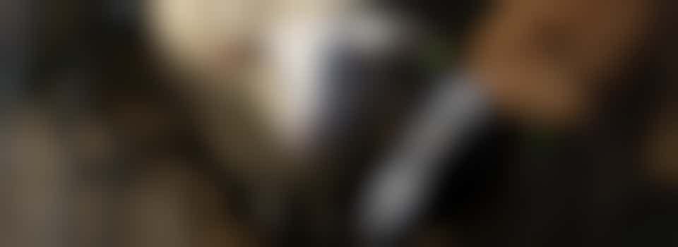 Hulp bij dierverzorging