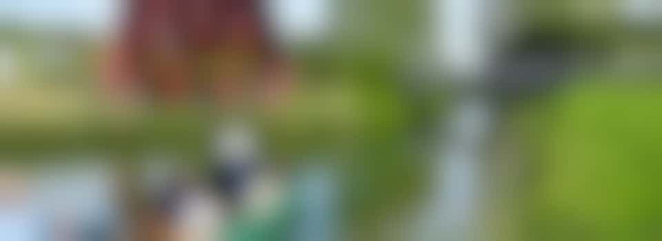 Een andere kijk op het Maximapark