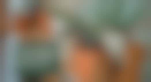 Groene vingers vrijwilliger