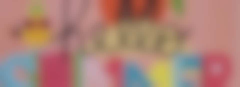 Zomermarkt en buurtfeest