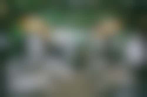 maatje om iets gezelligs mee te ondernemen