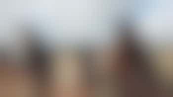 Ben jij gek van paarden? Dan zoeken wij jou!