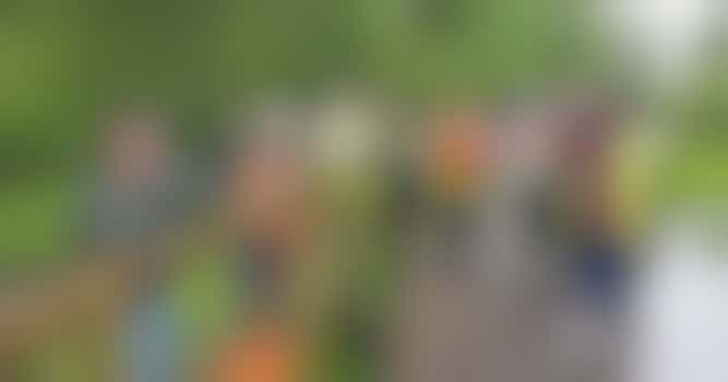 Alvington Pond enhancement and restoration