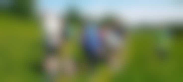 September Wildlife Walk