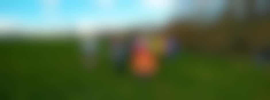 November Wildlife Walk