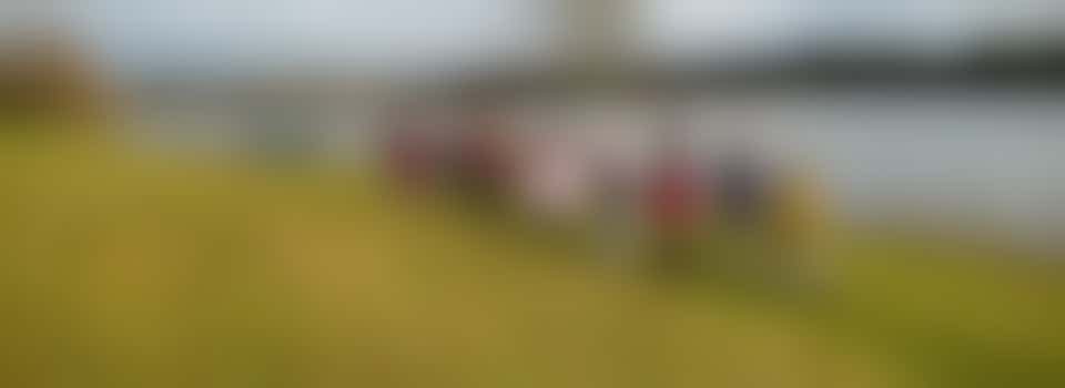 Folly Field Litter Pick