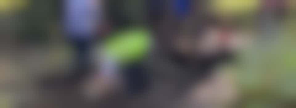 Oak Tree Park pond 1 Workday