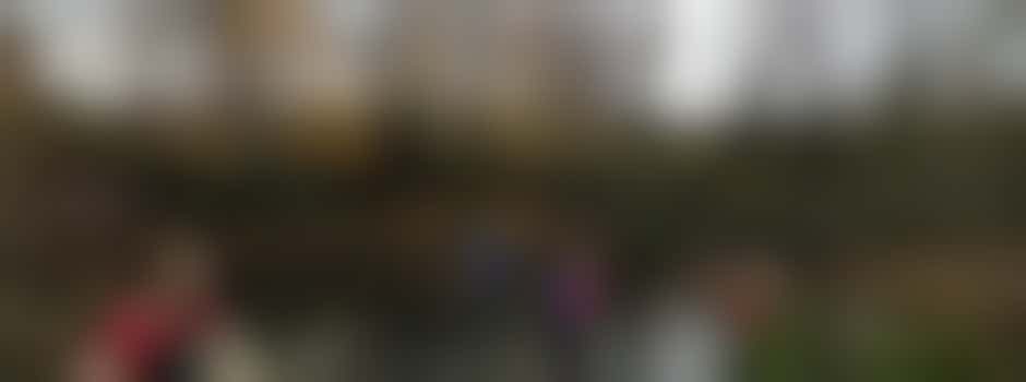 Typha management - Alvington Pond