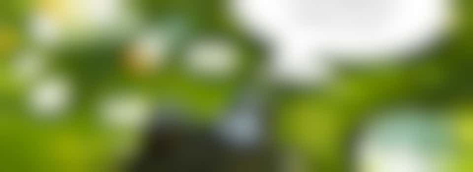 Wildlife Pond Creation day