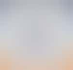 Social Media/Marketing Assistant