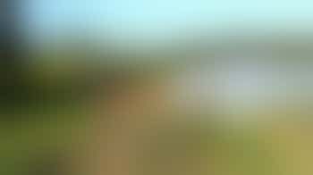 Helping hands in the garden