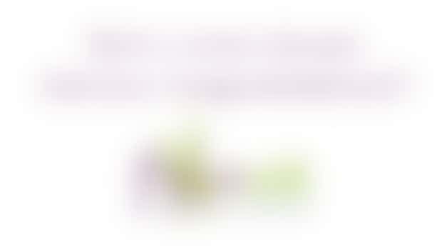 Accessibility Advisor