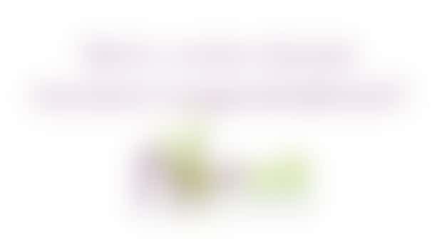 Assistent Toegankelijkheid