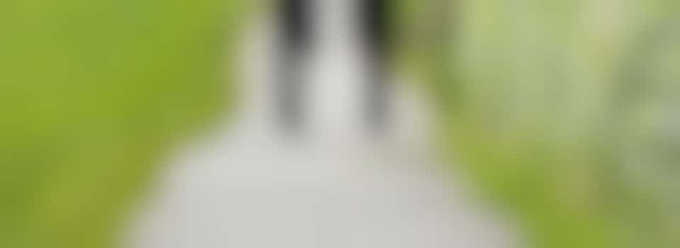 Ga jij er op uit met deze vriendelijke vrouw van 60? Wij zoeken jou!