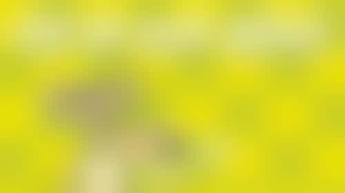 Samen creatieve creaties maken of een uitzinnig uitje ondernemen?