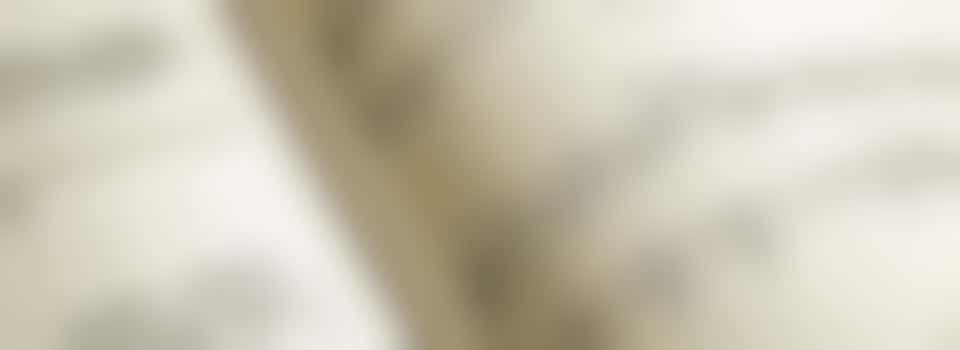 Samen bewegen, of muziek luisteren