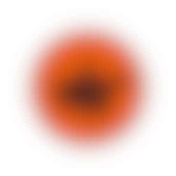 E-learnings organisaties