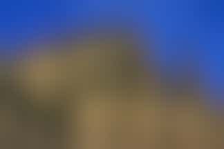 Wil jij mensen rondleiden in de Dom?