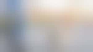 In Lochem 1 x in de week's middags een hond uitlaten