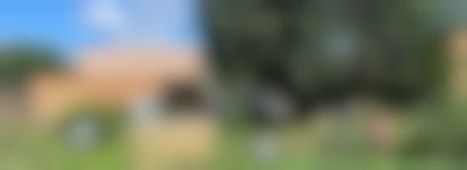 Vrijwilliger bij Stadstuin Plutodreef