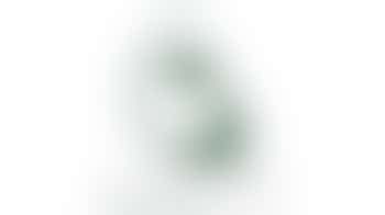 Stichting Dierenvoedselbank Vallei & Veluwe