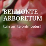 Belmonte arboretum Wageningen