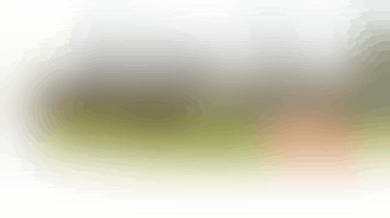 Werkgroep Fairtrade Weststellingwerf