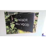 Windsor Hill Wood