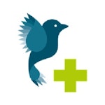 Stichting Vogelrampenfonds, het Vogelhospitaal