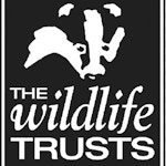 The Wildlife Trust BCN (South Cambs)
