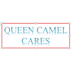 Queen Camel Cares