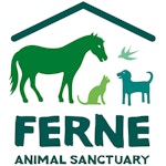 Ferne Animal Sanctuary - Chard
