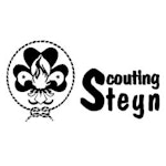 Scouting Steyn
