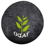 Stichting Ojodu Grassroots Alternatives Foundation