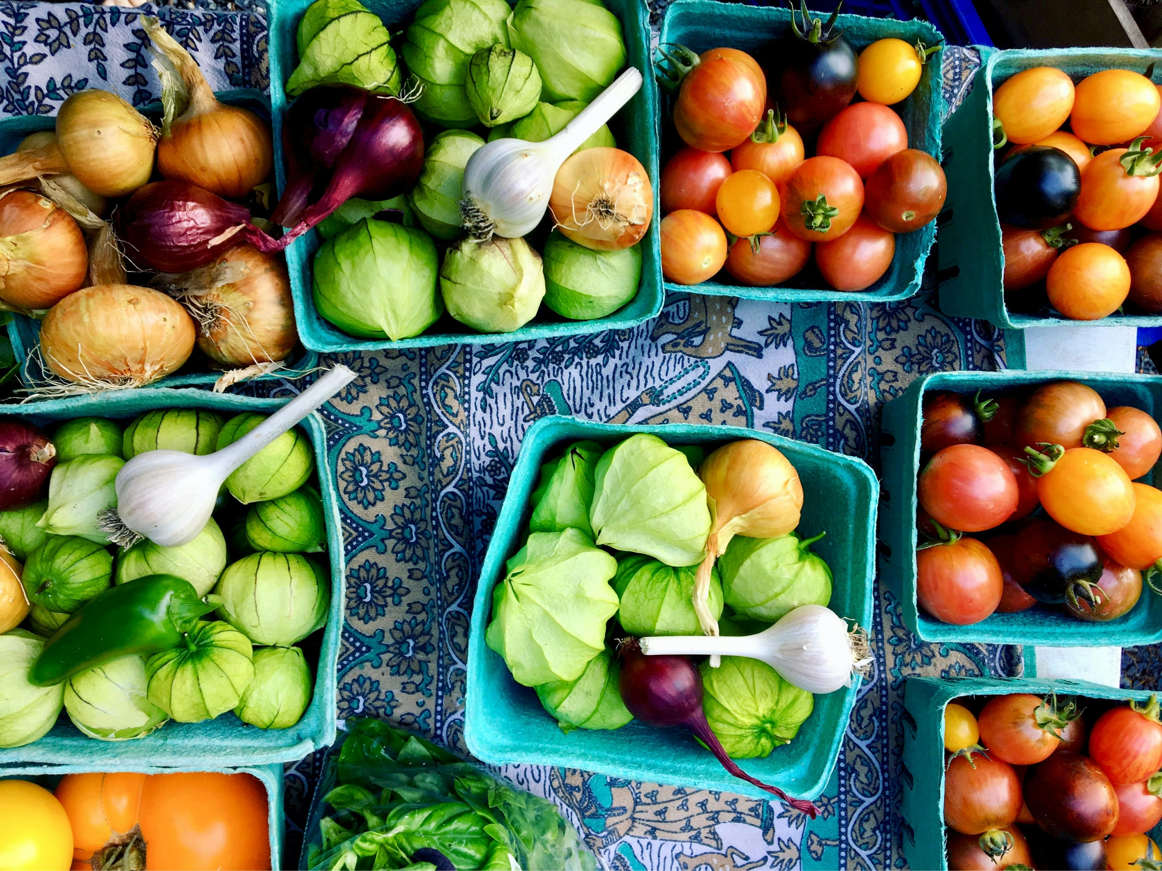 customers-of-food-bank-get-lunch-from-the-bakery-volunteercambs