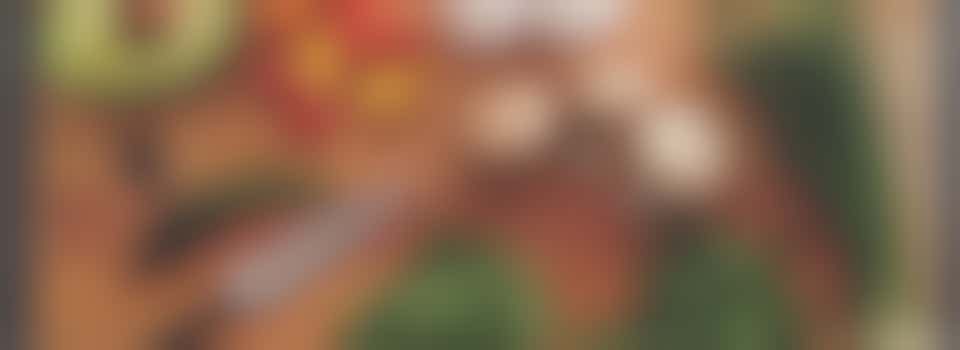 Wil jij af en toe deze mevrouw helpen met eten snijden en koken?